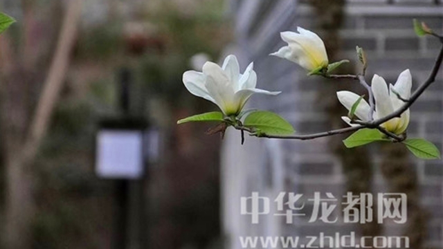 淮陽(yáng)蓮舍，多了一份味道