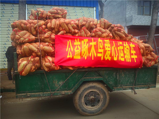 ＂愛心蘿卜＂來了！