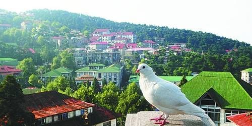  有著“云中山城”之稱的牯嶺鎮(zhèn)面臨著遷民下山。